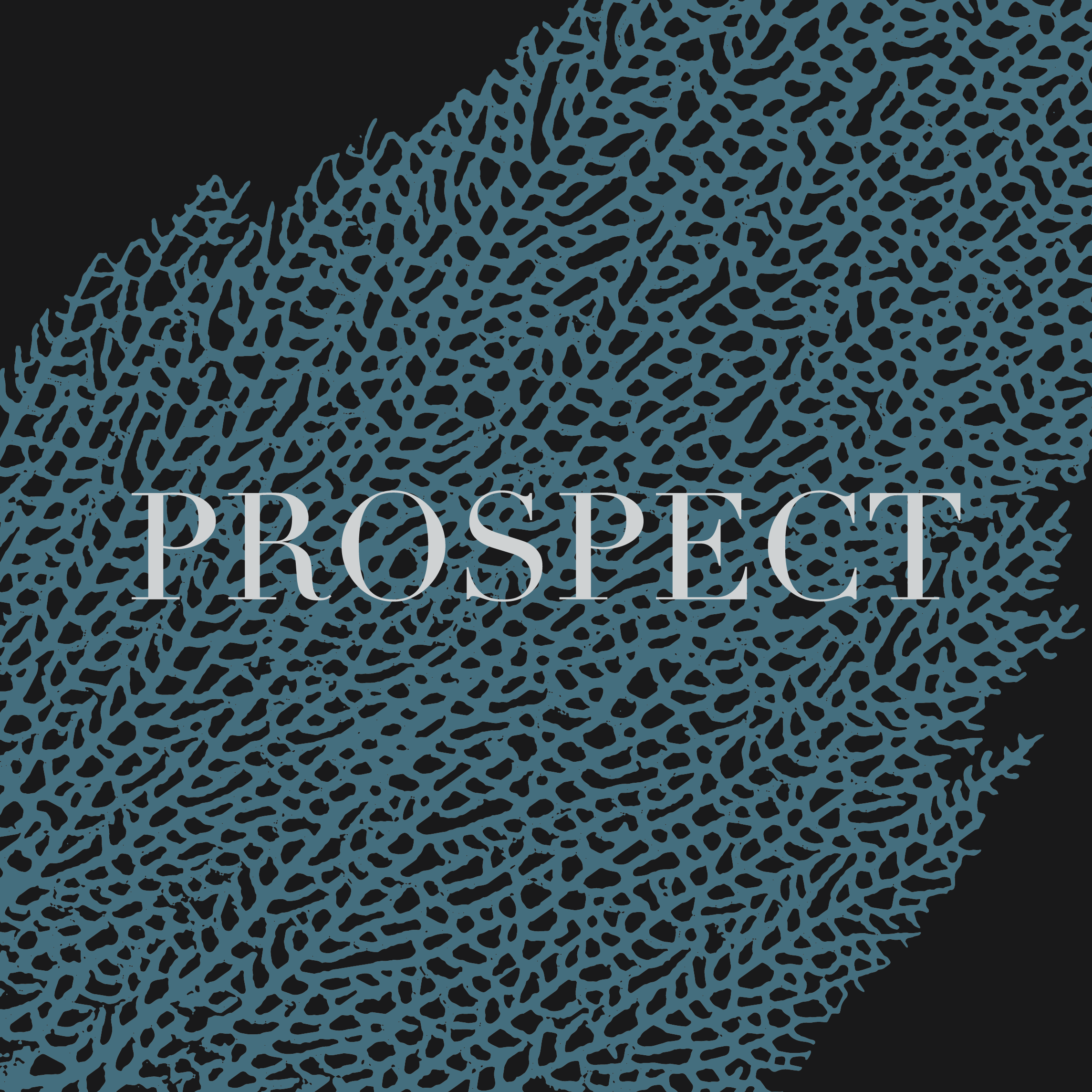 Prospect Home